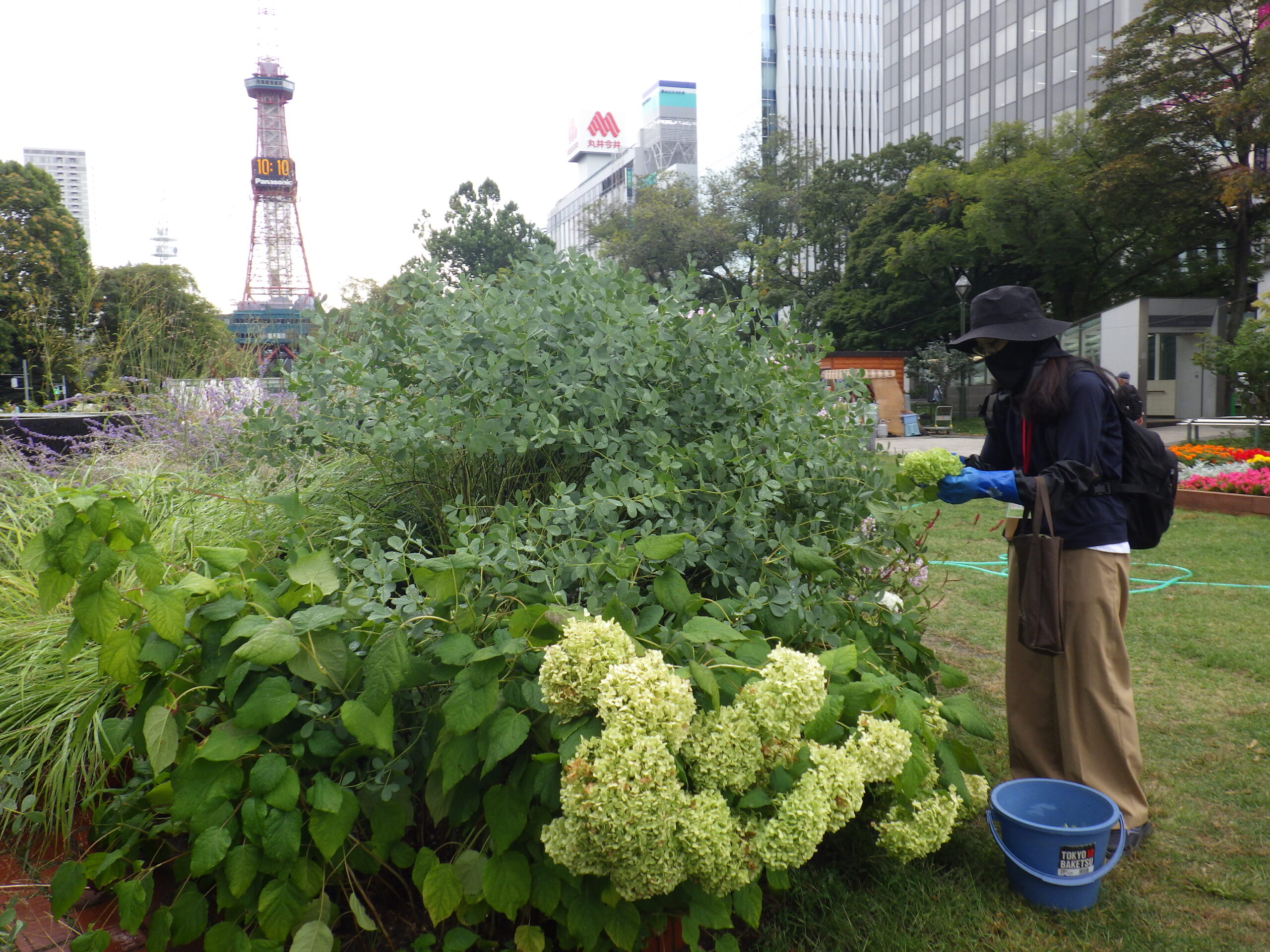0914花壇ボランティア