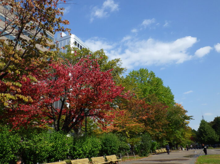 10月9日園内の紅葉