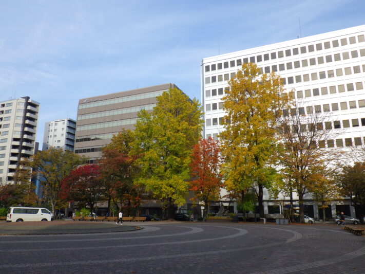 1026花壇ボランティア