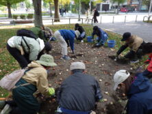 1026花壇ボランティア