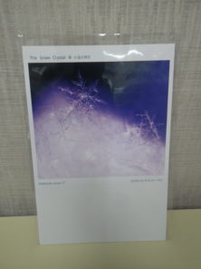 なおいかずこ雪の結晶柄のポストカードの画像2