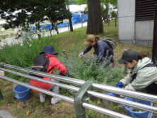 0706森の花壇切り戻し