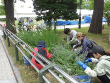 0706森の花壇切り戻し