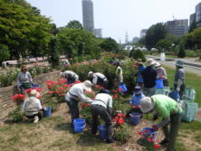 花がら摘み