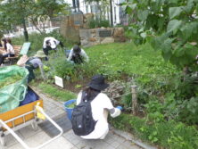 0902花壇ボランティア