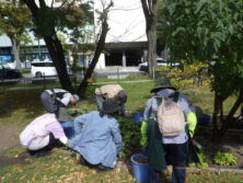 0930花壇ボランティア