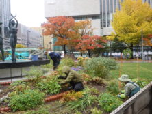 1028花壇ボランティア