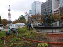 1028花壇ボランティア