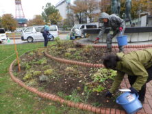 1028チューリップ球根の植込み