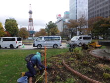 1028チューリップ球根の植込み