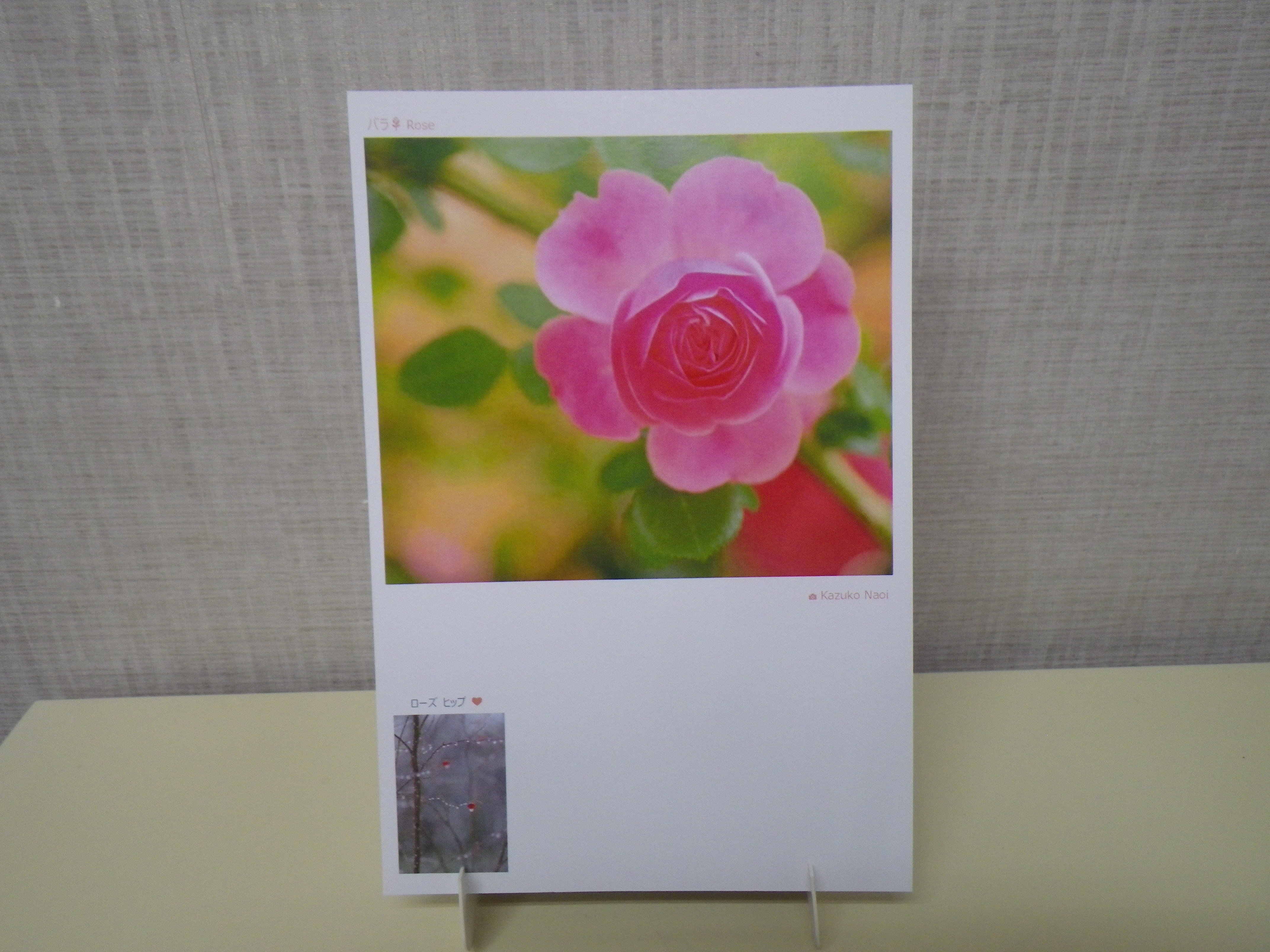 直井和子さんのバラの写真のポストカードの画像