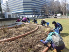 0407花壇ボランティア