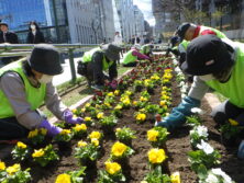 0417シーズネット花植え