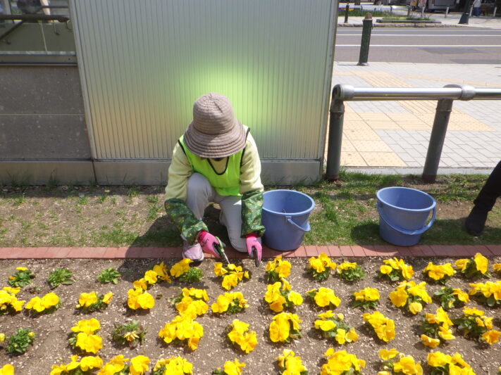 0508花がら摘み