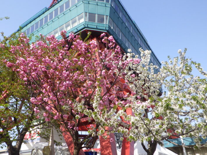 2025年のテレビ塔の様子