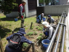 0512森の花壇除草