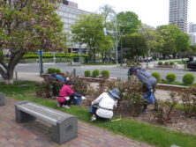 0514除草と剪定修正