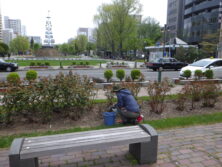 0514除草
