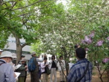 0515園内研修