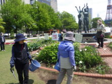 0519西3丁目花壇ボランティア