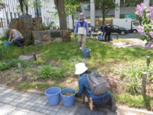 0519森の花壇除草