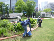 0526花壇ボランティア