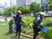 0526花壇ボランティア