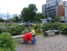 0604除草