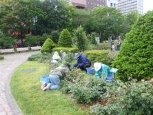 0604除草