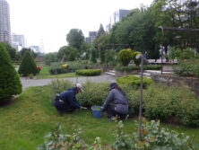 0604除草
