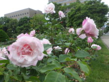 0612春芳