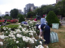 0621花がら摘み