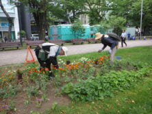 0707花壇ボランティア