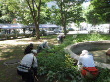0714花壇ボランティア