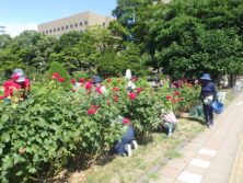 0730バラボランティア
