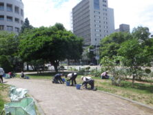0730バラボランティア