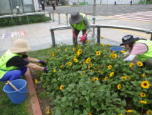 0731シーズネットD班