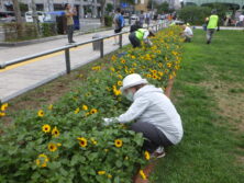 0731シーズネットD班