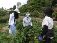 0806こどもボランティア体験