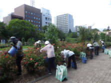 0809バラボランティア