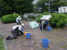 0809バラボランティア