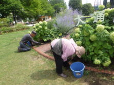 0818花壇ボランティア