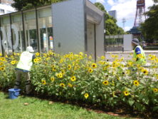 0821シーズネット