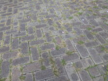0823インターロッキング除草