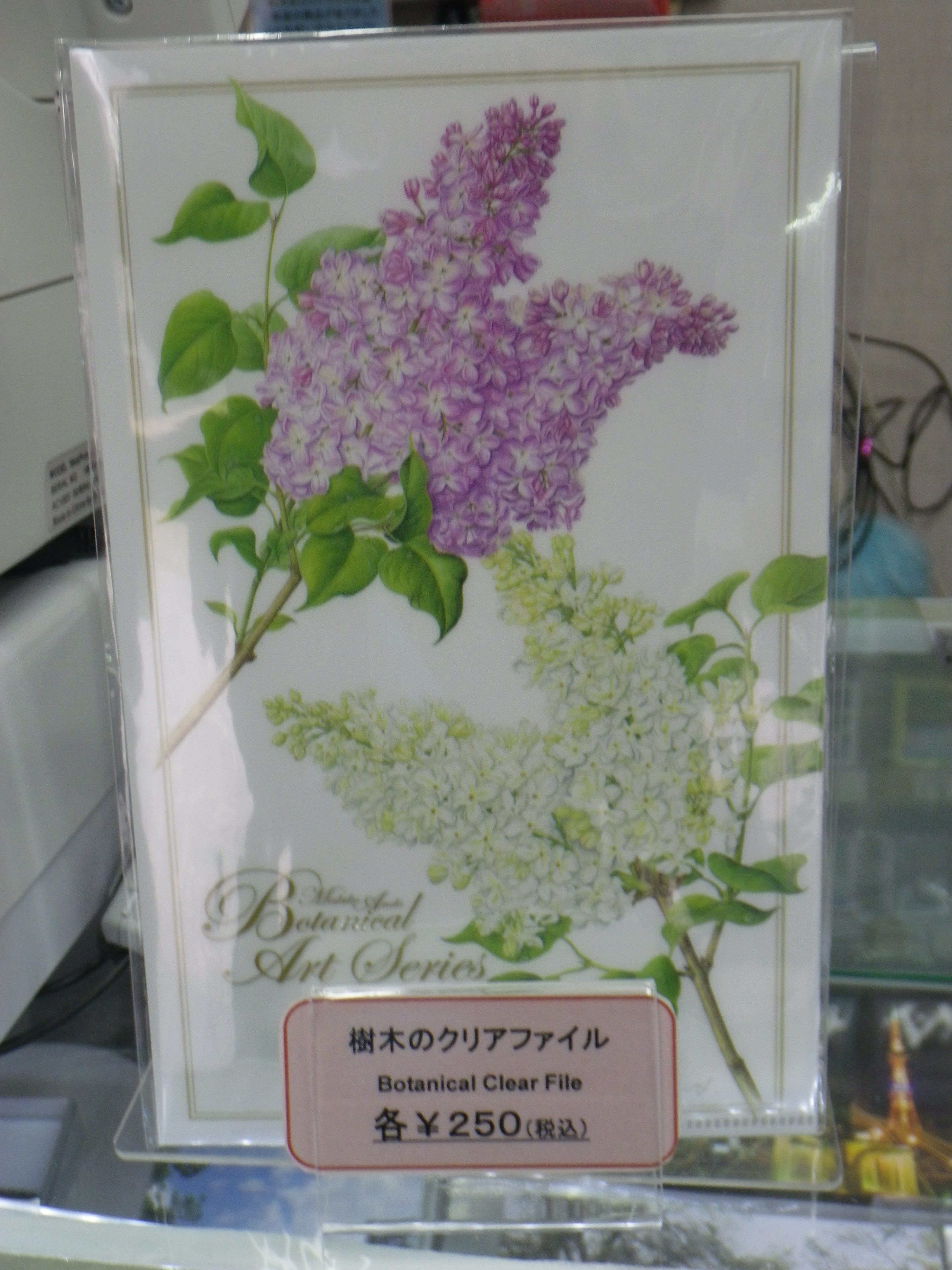 樹木のクリアファイルライラックの柄の画像