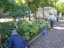 0908花壇ボランティア
