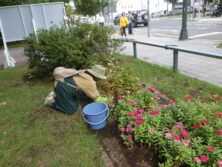 0922花壇ボランティア