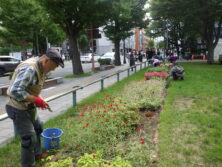 0922花壇ボランティア