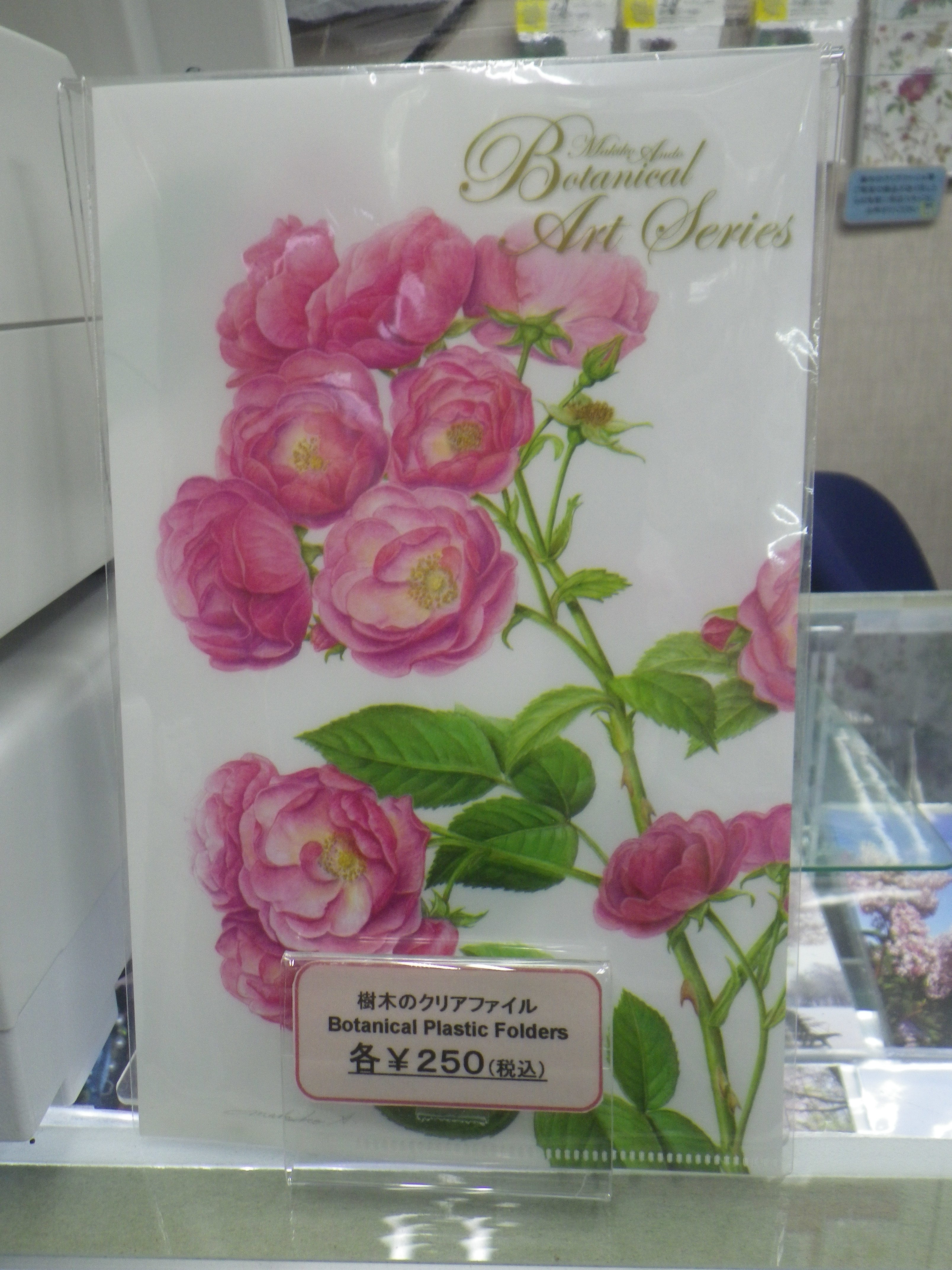 樹木のクリアファイルの画像