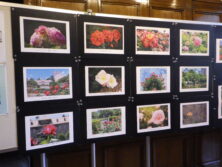 0923バラ写真展